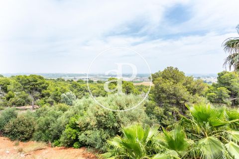 Villa a Sagunto, Valencia, Sagunto - € 900.000 | Ref: VV2512003 - foto 6