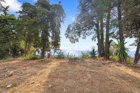 Villa a Ventimiglia, Imperia, Ventimiglia - € 4.800.000 | Ref: AG-DOM F159 - foto 4