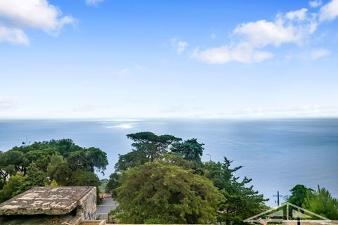 Villa a Ventimiglia, Imperia, Ventimiglia - € 4.800.000 | Ref: AG-DOM F159 - foto 9