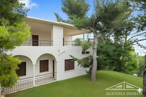Villa a Ventimiglia, Imperia, Ventimiglia - € 4.800.000 | Ref: AG-DOM F159 - foto 17