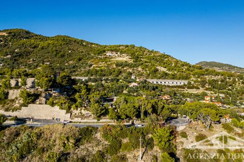 Villa a Ventimiglia, Imperia, Ventimiglia - € 4.800.000 | Ref: AG-DOM F159 - foto 18