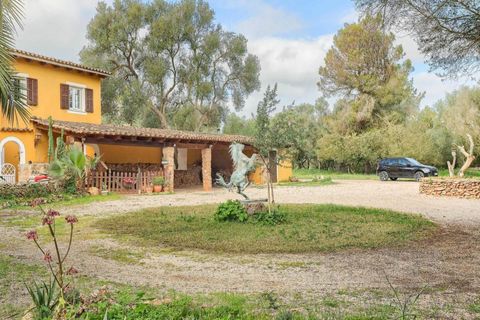 Herregård i Algaida, Mallorca, Algaida - € 1 495 000 | Ref: EXP12206/8930 - foto 17