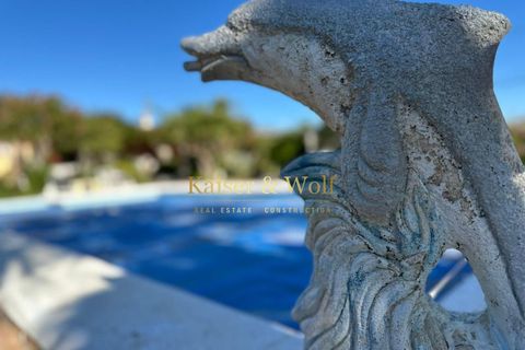 Landejendom i Albatera, Alicante, Albatera - € 399.000 | Ref: AM0047 - foto 30