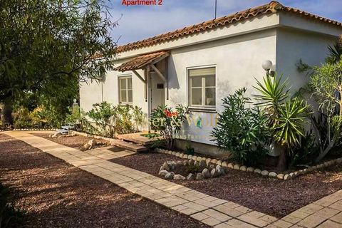 Landejendom i Albatera, Alicante, Albatera - € 399.000 | Ref: AM0047 - foto 37