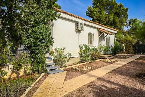 Landejendom i Albatera, Alicante, Albatera - € 399.000 | Ref: AM0047 - foto 48