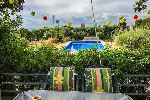 Landejendom i Albatera, Alicante, Albatera - € 399.000 | Ref: AM0047 - foto 49