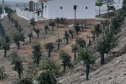Finca i Salobrena, Granada, Salobrena - € 299.000 | Ref: M691 - foto 25