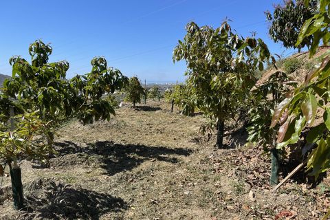 Finca i Lobres, Granada, Lobres - € 403.000 | Ref: MG693 - foto 38
