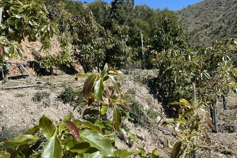 Finca i Lobres, Granada, Lobres - € 403.000 | Ref: MG693 - foto 39