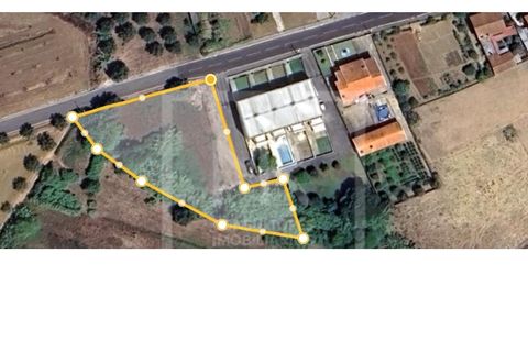 Helårsgrund i Anadia, Aveiro, Anadia - € 62.500 | Ref: 136/2025 ES - foto 12