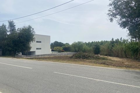 Helårsgrund i Anadia, Aveiro, Anadia - € 62.500 | Ref: 136/2025 ES - foto 2