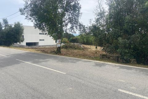 Helårsgrund i Anadia, Aveiro, Anadia - € 62.500 | Ref: 136/2025 ES - foto 6