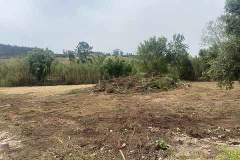 Helårsgrund i Anadia, Aveiro, Anadia - € 62.500 | Ref: 136/2025 ES - foto 9