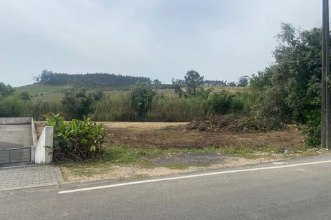 Helårsgrund i Anadia, Aveiro, Anadia - € 62.500 | Ref: 136/2025 ES - foto 11