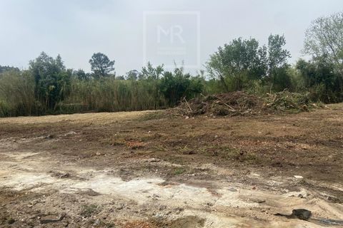 Helårsgrund i Anadia, Aveiro, Anadia - € 62.500 | Ref: 136/2025 ES - foto 14
