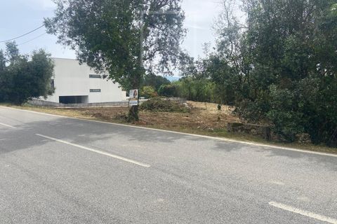 Helårsgrund i Anadia, Aveiro, Anadia - € 62.500 | Ref: 136/2025 ES - foto 15