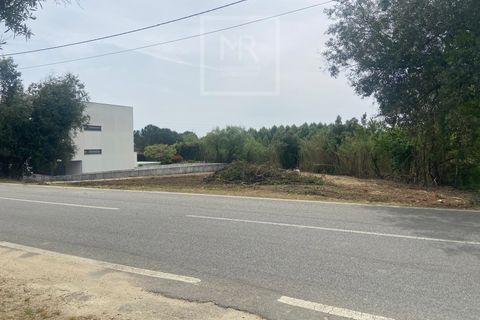 Helårsgrund i Anadia, Aveiro, Anadia - € 62.500 | Ref: 136/2025 ES - foto 16