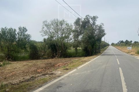 Helårsgrund i Anadia, Aveiro, Anadia - € 62.500 | Ref: 136/2025 ES - foto 18