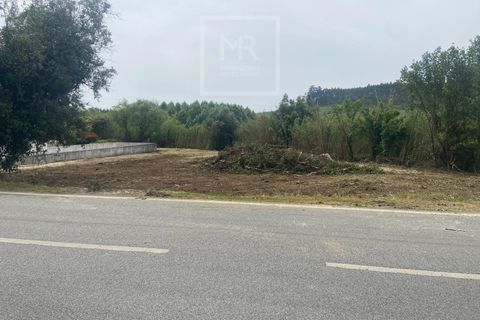Helårsgrund i Anadia, Aveiro, Anadia - € 62.500 | Ref: 136/2025 ES - foto 20