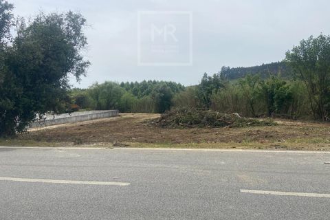 Helårsgrund i Anadia, Aveiro, Anadia - € 62.500 | Ref: 136/2025 ES - foto 21