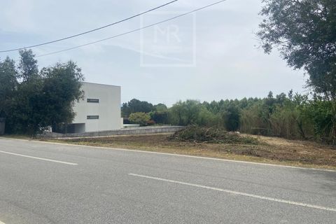 Helårsgrund i Anadia, Aveiro, Anadia - € 62.500 | Ref: 136/2025 ES - foto 22