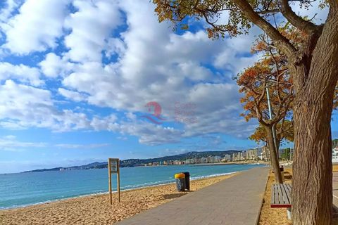 Leilighet i Palamos, Gerona, Palamos - € 230 000 | Ref: CBF60895 - foto 21