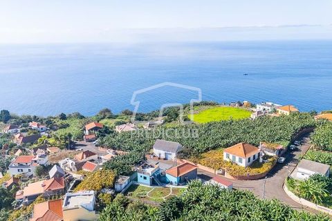 Villa a Ponta do Sol, Madeira, Ponta do Sol - € 585.000 | Ref: 11985-NP - foto 33