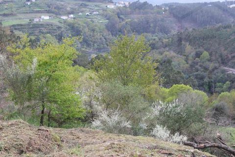 Villa i Melgaco, Viana do Castelo, Melgaco - € 35.000 | Ref: 00061 - foto 3
