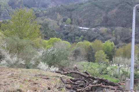 Villa i Melgaco, Viana do Castelo, Melgaco - € 35.000 | Ref: 00061 - foto 4