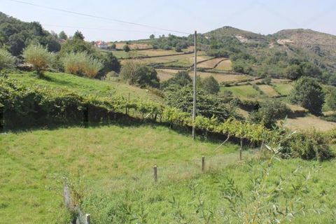 Villa i Melgaco, Viana do Castelo, Melgaco - € 80.000 | Ref: 00182 - foto 4