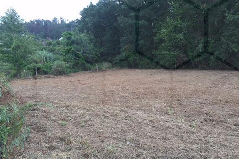 Tomt i Melgaco, Viana do Castelo, Melgaco - € 46 000 | Ref: 00427 - foto 5