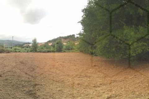 Tomt i Melgaco, Viana do Castelo, Melgaco - € 46 000 | Ref: 00427 - foto 7