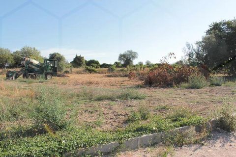Terra a Valenca, Viana do Castelo, Valenca - € 43.500 | Ref: 00515 - foto 3