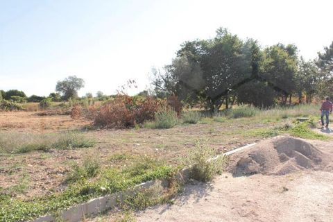 Terra a Valenca, Viana do Castelo, Valenca - € 43.500 | Ref: 00515 - foto 4