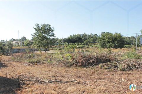 Terrain - Valenca, Viana do Castelo, Valenca - € 43 500 | Réf : 00515 - photo 6