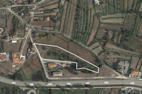 Terrain - Valenca, Viana do Castelo, Valenca - € 43 500 | Réf : 00515 - photo 7