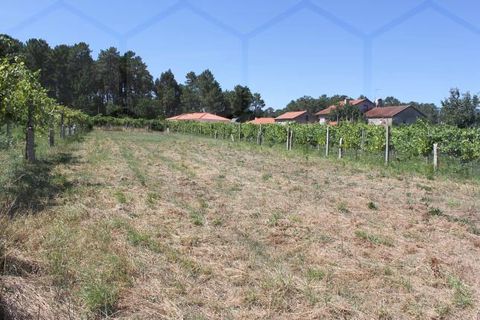 Grond in Moncao, Viana do Castelo, Moncao - € 25.000 | Ref: 00575 - foto 2