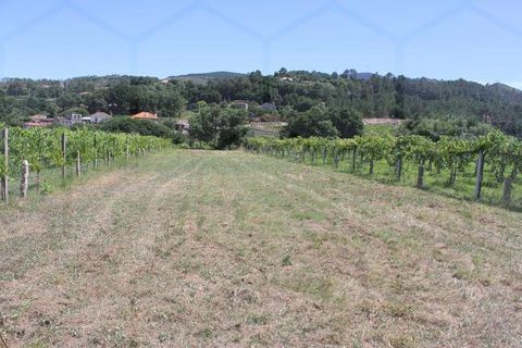 Grond in Moncao, Viana do Castelo, Moncao - € 25.000 | Ref: 00575 - foto 3