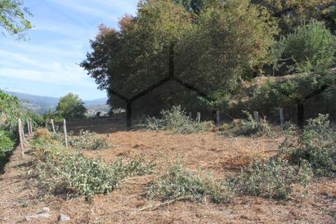 Tomt i Melgaco, Viana do Castelo, Melgaco - € 80 000 | Ref: 00791 - foto 2