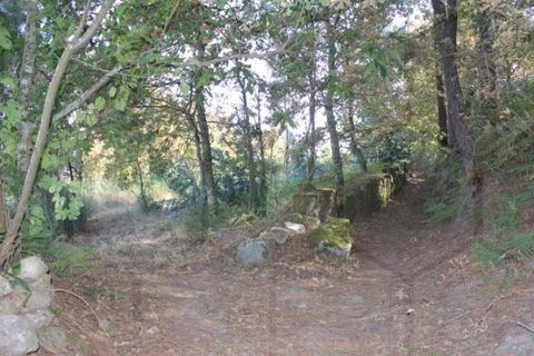 Tomt i Melgaco, Viana do Castelo, Melgaco - € 80 000 | Ref: 00791 - foto 4