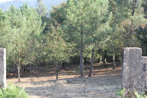 Villa i Melgaco, Viana do Castelo, Melgaco - € 195.000 | Ref: 01586 - foto 8