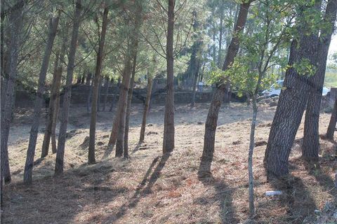 Villa i Melgaco, Viana do Castelo, Melgaco - € 195.000 | Ref: 01586 - foto 9