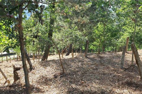 Helårsgrund i Melgaco, Viana do Castelo, Melgaco - € 20.000 | Ref: 01743 - foto 2