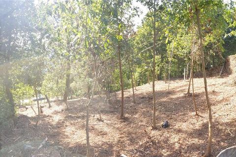 Helårsgrund i Melgaco, Viana do Castelo, Melgaco - € 20.000 | Ref: 01743 - foto 3