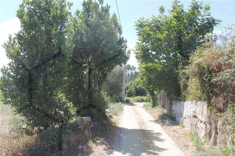 Grond in Cambeses, Viana do Castelo, Cambeses - € 7.500 | Ref: 01780 - foto 2