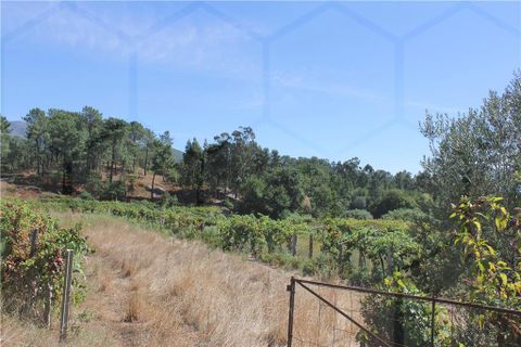 Grond in Cambeses, Viana do Castelo, Cambeses - € 7.500 | Ref: 01780 - foto 4