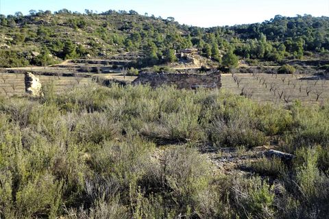 Finca i Fabara, Zaragoza, Fabara - € 29.000 | Ref: 1045 - foto 12