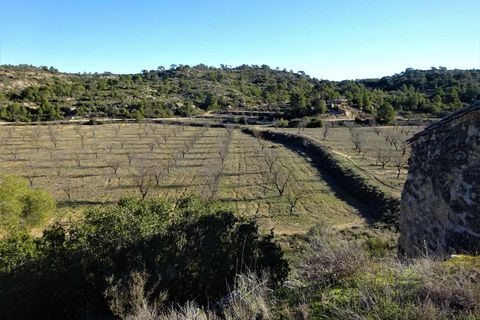 Finca i Fabara, Zaragoza, Fabara - € 29.000 | Ref: 1045 - foto 6