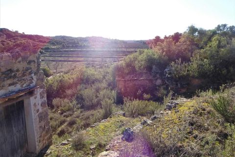 Finca i Fabara, Zaragoza, Fabara - € 29.000 | Ref: 1045 - foto 7