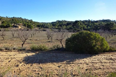 Finca i Fabara, Zaragoza, Fabara - € 29.000 | Ref: 1045 - foto 15